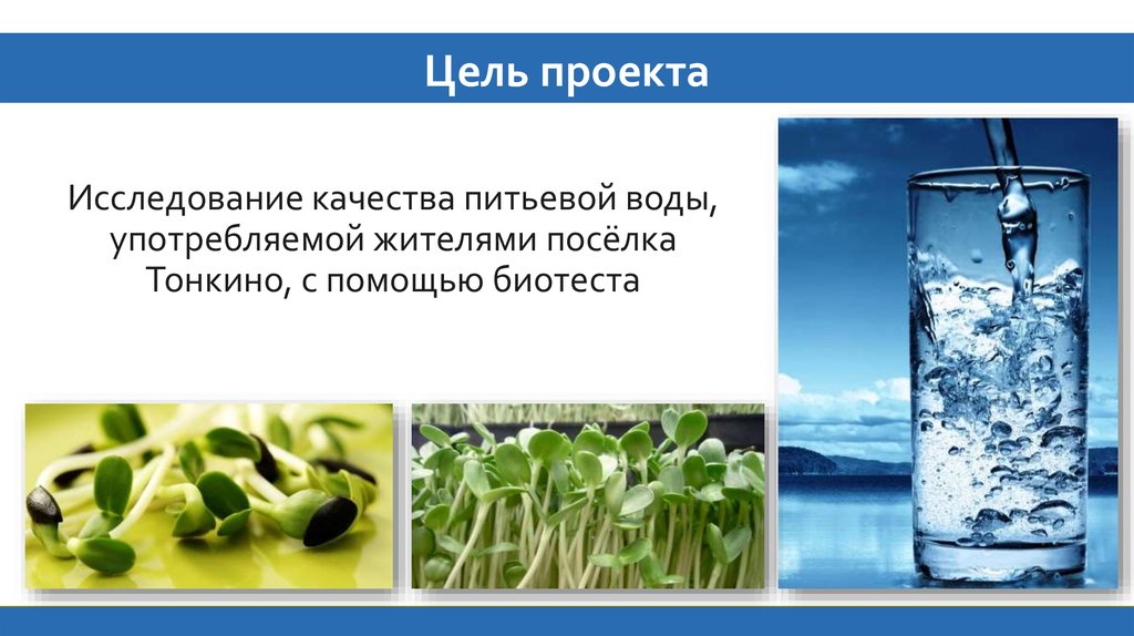 Вод цель. Цель проекта пресная вода. Вода которую мы пьем. Качество питьевой воды проект. Вода которую мы пьем проект.