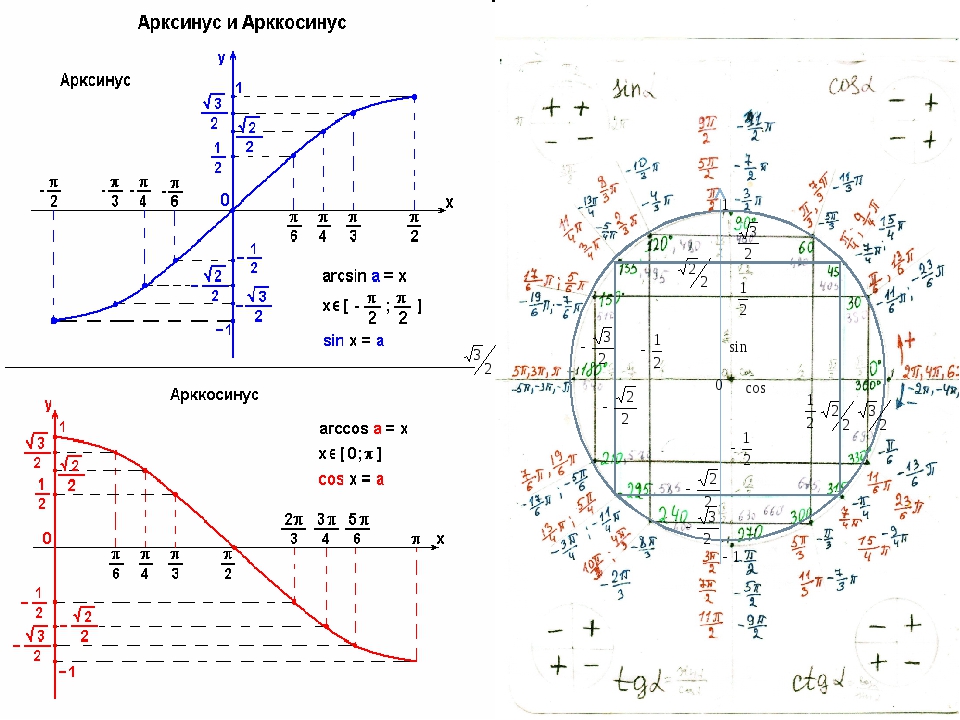 Таблица арксинусов. Арксинус на единичной окружности. Тригонометрический круг арккосинус. Арксинус и арккосинус на окружности. График арксинуса на окружности.