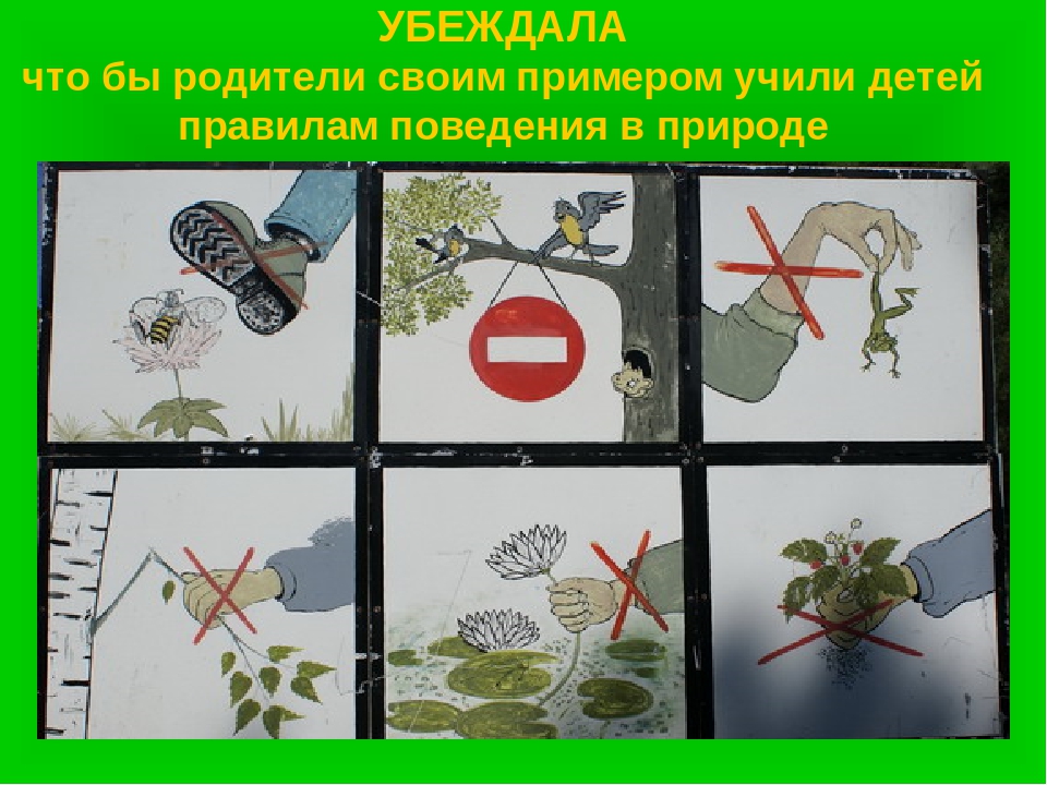 20 апреля что можно и нельзя делать. Экологические знаки. Знаки поведения в природе. Запрещающие знаки в природе. Правила поведения на природе.