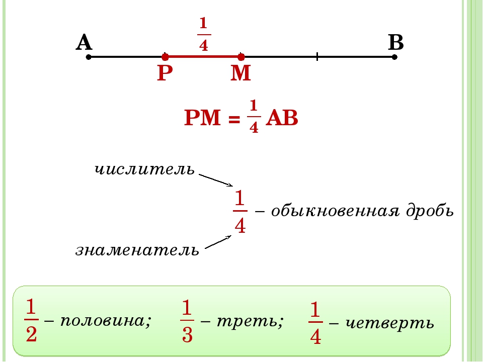 Числитель. Дроби половина треть четверть. Обыкновенные дроби треть четверть. Числитель и знаменатель дроби положительные. Целое числитель знаменатель.