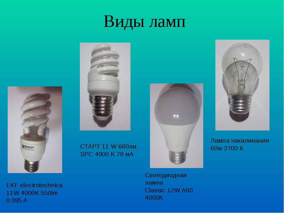 Виды ламп. Основные типы ламп. Три вида лампочек. Виды лампочек проект. SPC 4000 лампы.